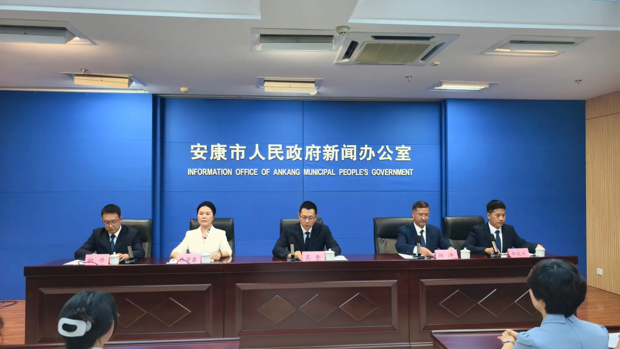 奋力谱写高质量发展新篇章，汉阴“十五五”这样做！