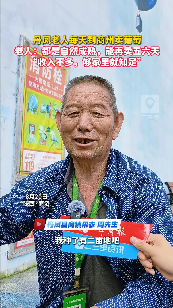 丹凤老人每天到商州卖葡萄，老人：都是自然成熟，能再卖五六天，“收入不多，够家用就知足”