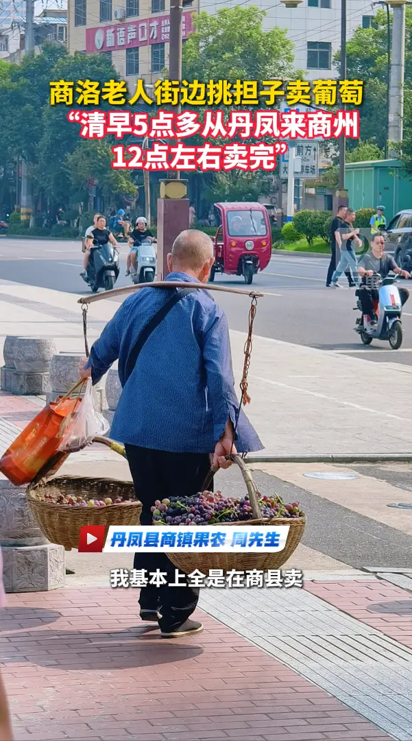商洛老人街边挑担子卖葡萄，“清早5点多从丹凤来商州，12点左右卖完”