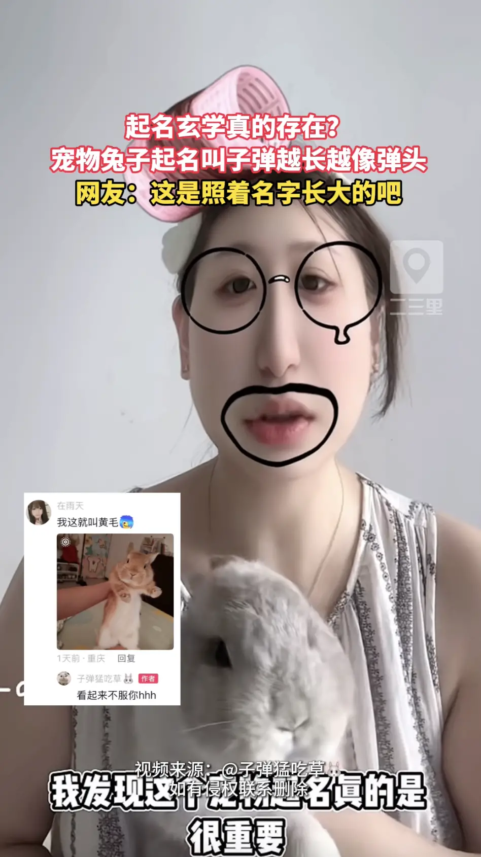 网友家兔子起名叫子弹！没想到养着养着真的越长越像小弹头，你们家宠物长相随名字吗？