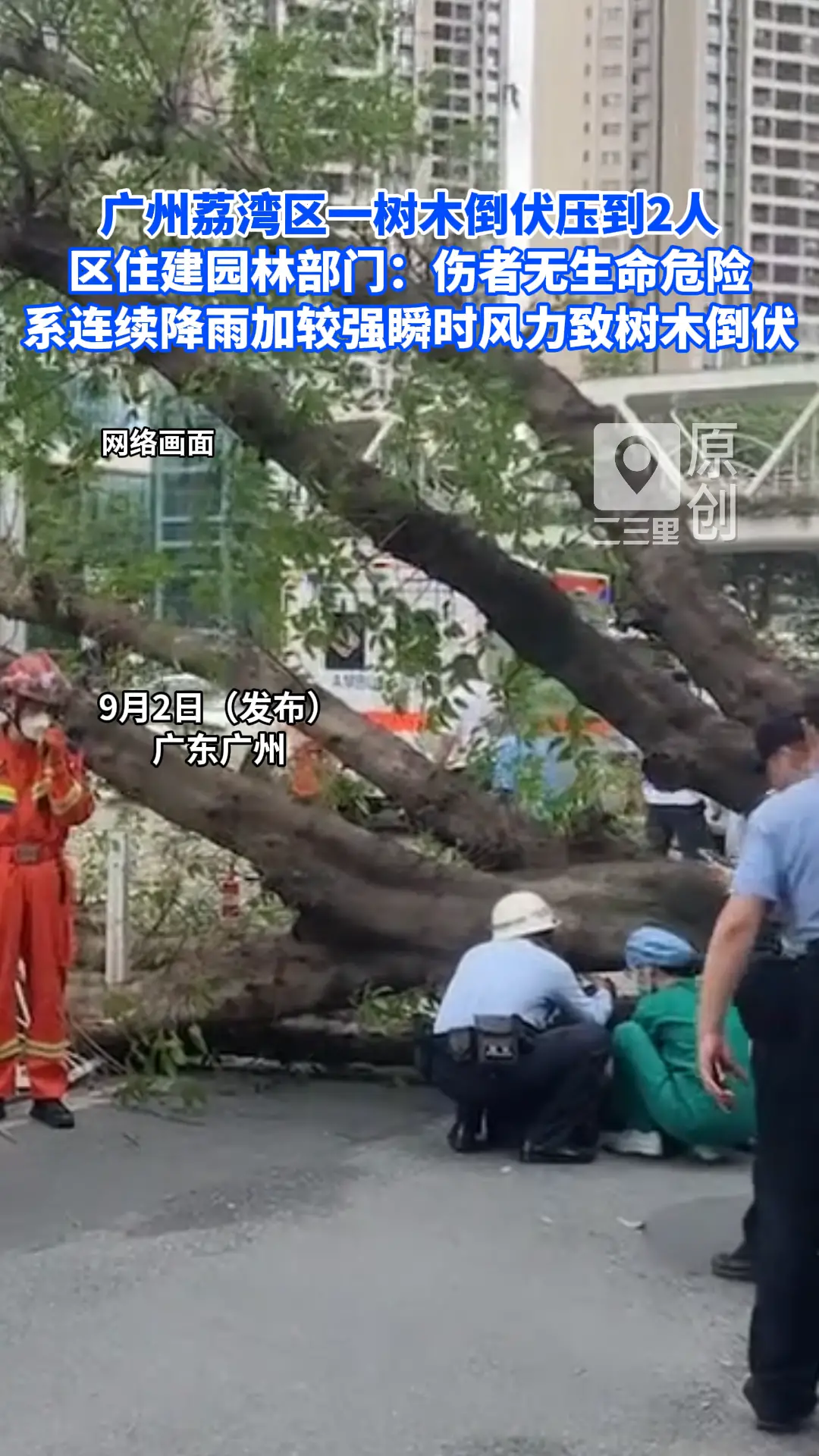 广州荔湾鹤洞路一行道树倒伏压伤2人，官方回应：伤者无生命危险，系降雨加瞬时强风所致