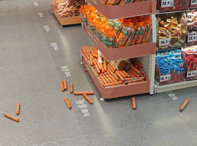 甘肃一好想来门店现狗舔火腿肠，门店：顾客带的狗，涉事商品将销毁，当地市监所称已处理