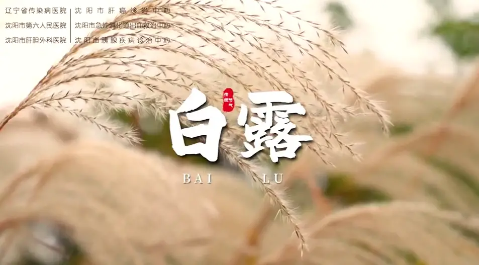健康知识 | 凉燥伤人易干咳鼻塞 白露中医养生要点收好