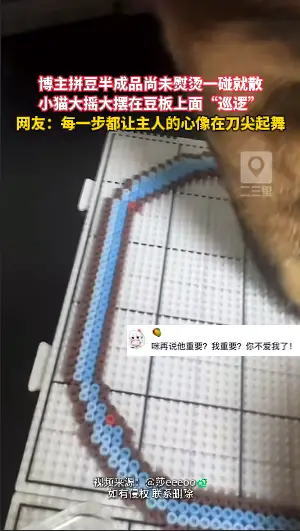 拼豆半成品没熨烫一碰就散，小猫还在上面大摇大摆巡逻，全程看得人捏一把汗。