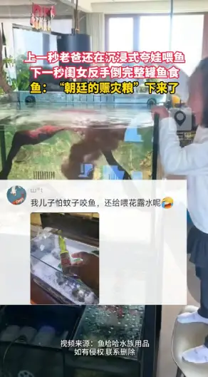 爸爸正感慨女儿是贴心小帮手，话音未落闺女直接将一整罐鱼食全部倒进鱼缸，鱼直接迎来豪华大餐