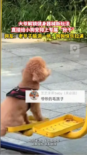 大爷脑洞一绝！健身器械器材推一推，小狗坐上“秋千”美滋滋 