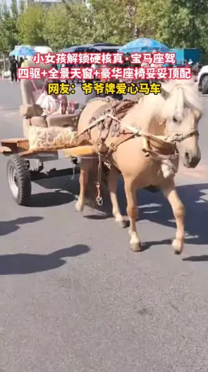真·宝马实锤！爷爷牌爱心马车，小女孩坐着出行回头率直接拉满 