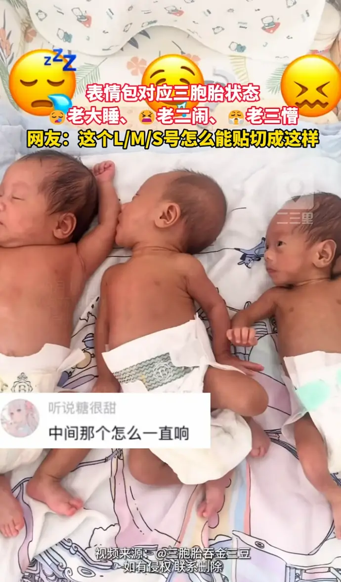 表情包一摆，L/M/S号三胞胎的状态直接对号入座。