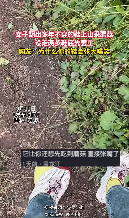 吉林辽源一女子翻出搁置多年的旧鞋上山采蘑菇，没成想半路鞋底直接 “罢工” 脱落