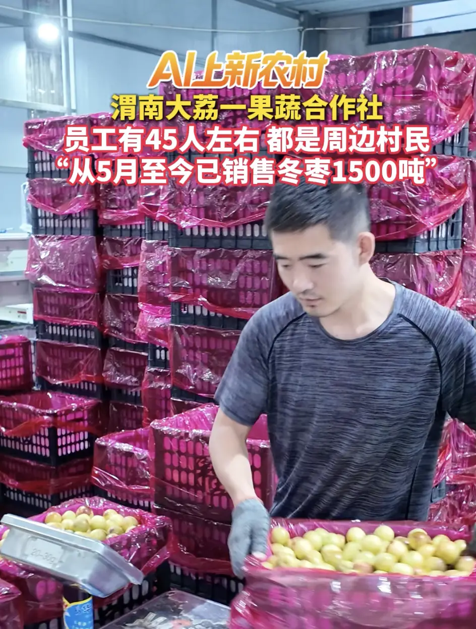渭南大荔一果蔬合作社员工有45人左右，都是周边村民 “从5月至今已销售冬枣1500吨”