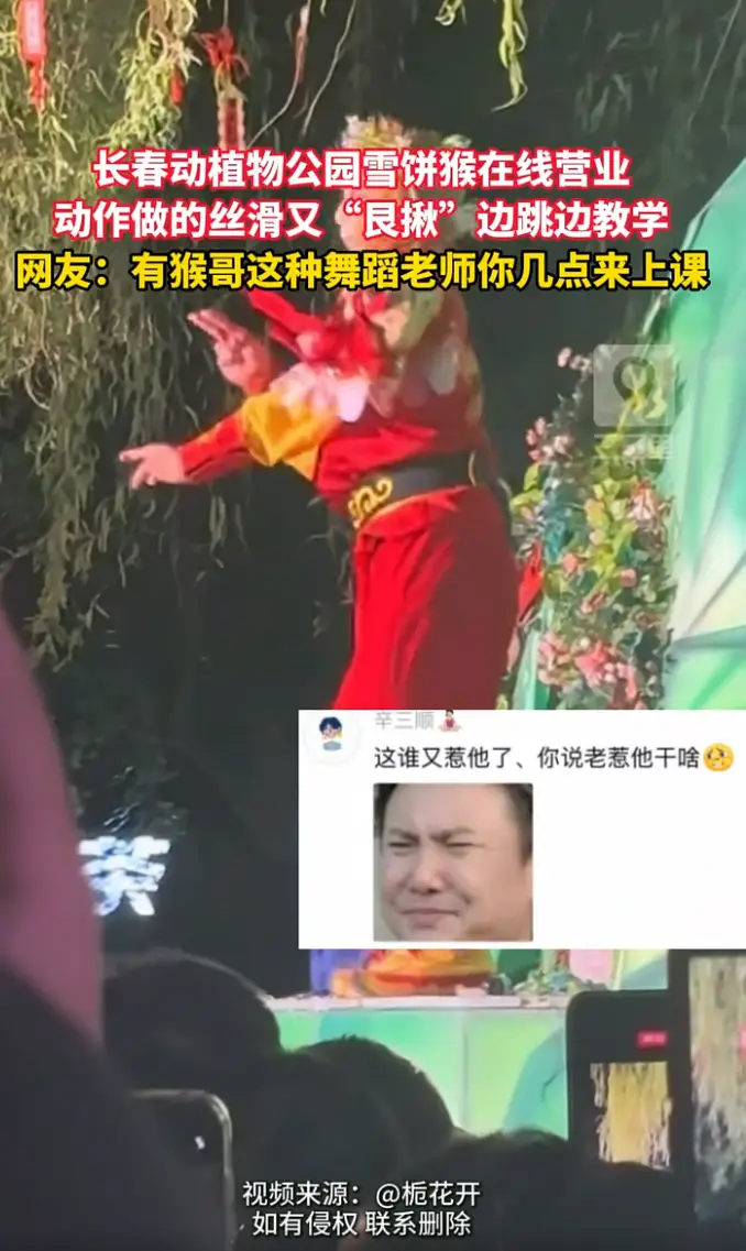 长春动植物公园雪饼猴跳舞自带“味道”，节奏感直接拉满！
