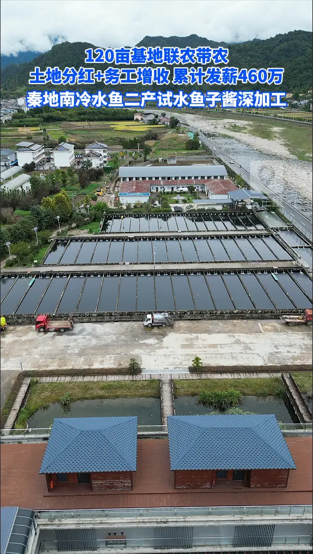 120亩基地联农带农，土地分红+务工增收，累计发薪460万