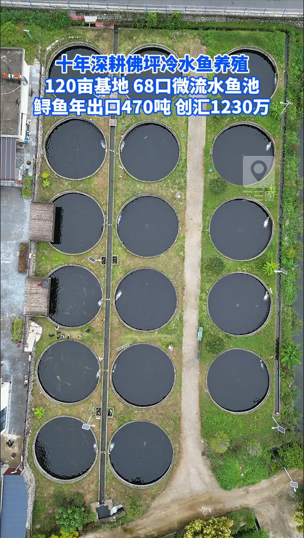 120亩基地68口微流水鱼池，鲟鱼年出口470吨创汇1230万