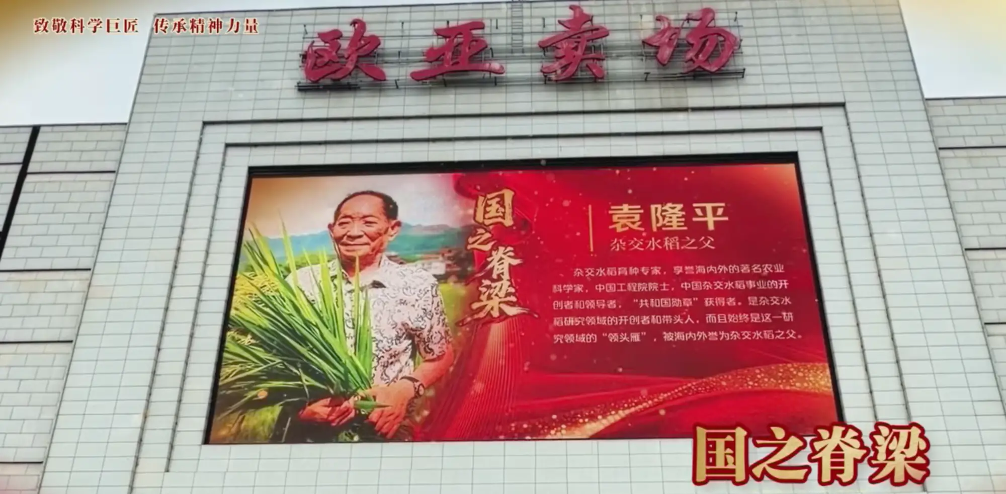 商圈有风骨！欧亚卖场里遇见“国之脊梁”！