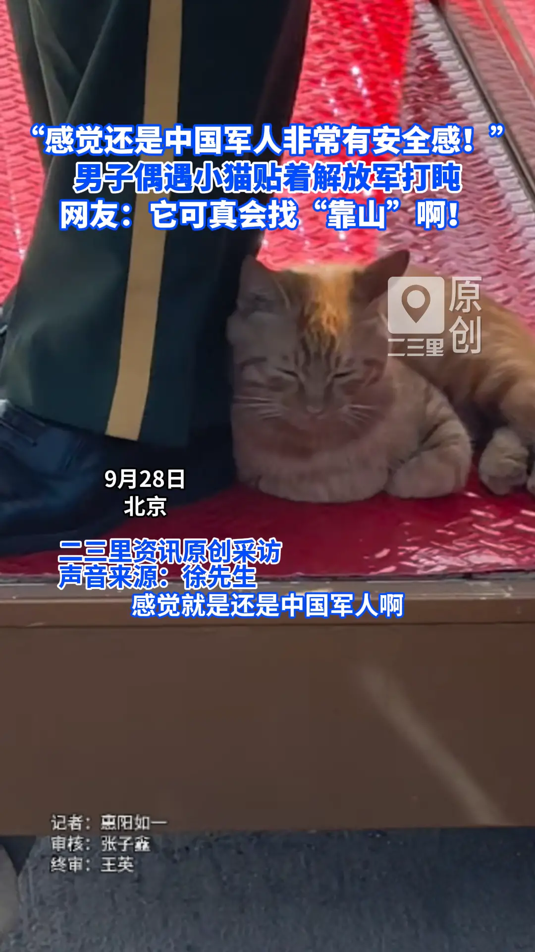 男子偶遇小猫贴着解放军打盹，称“感觉还是中国军人非常有安全感！”网友：它可真会找“靠山”啊！