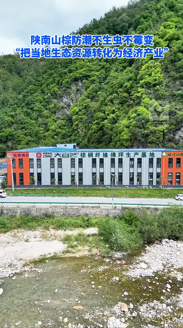 陕南山棕防潮不生虫不霉变 “把当地生态资源转化为经济产业”