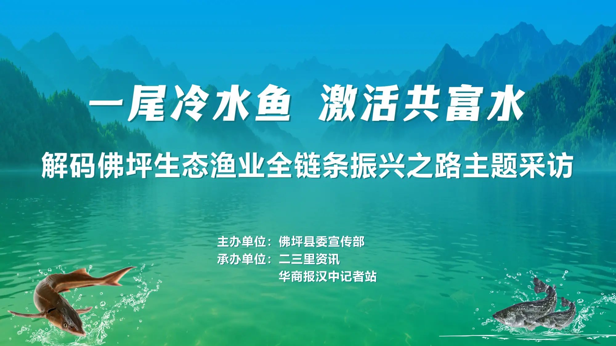 一尾冷水鱼，激活共富水|解码佛坪生态渔业全链条振兴之路主题采访