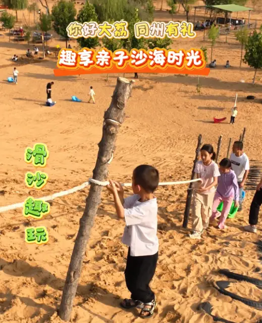 不用远跑，来渭南大荔沙苑，趣享亲子沙海时光