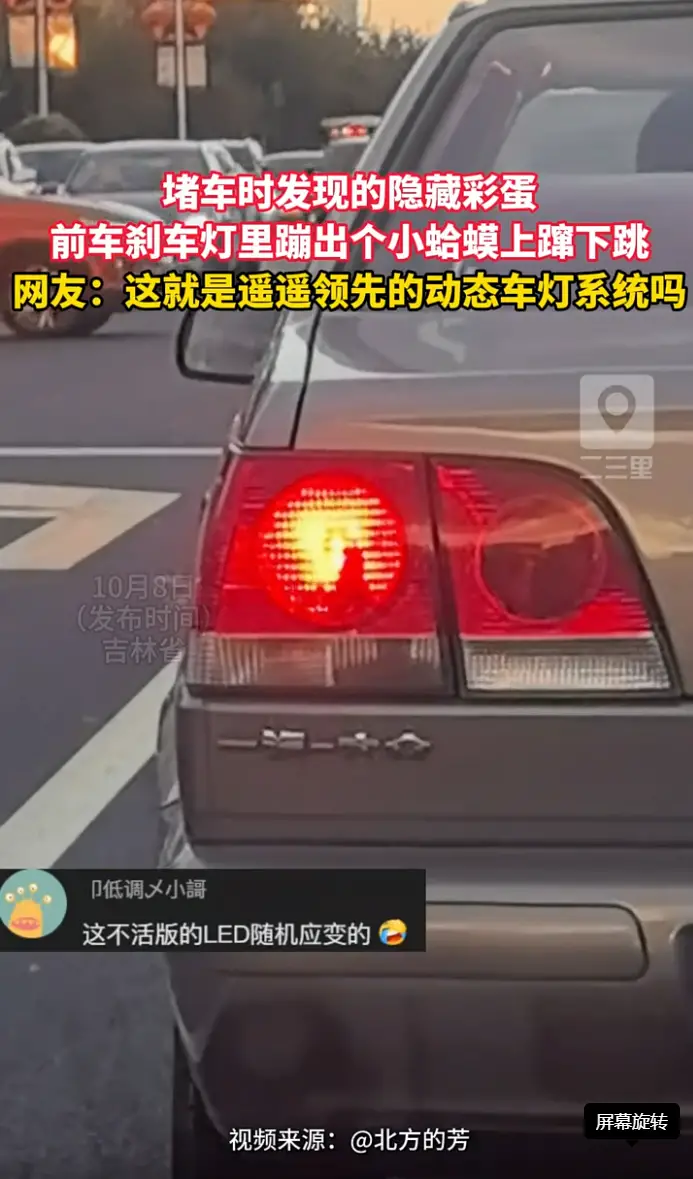 堵车路上偶遇名场面，前车刹车灯钻出一只蛤蟆像自带动态灯光。