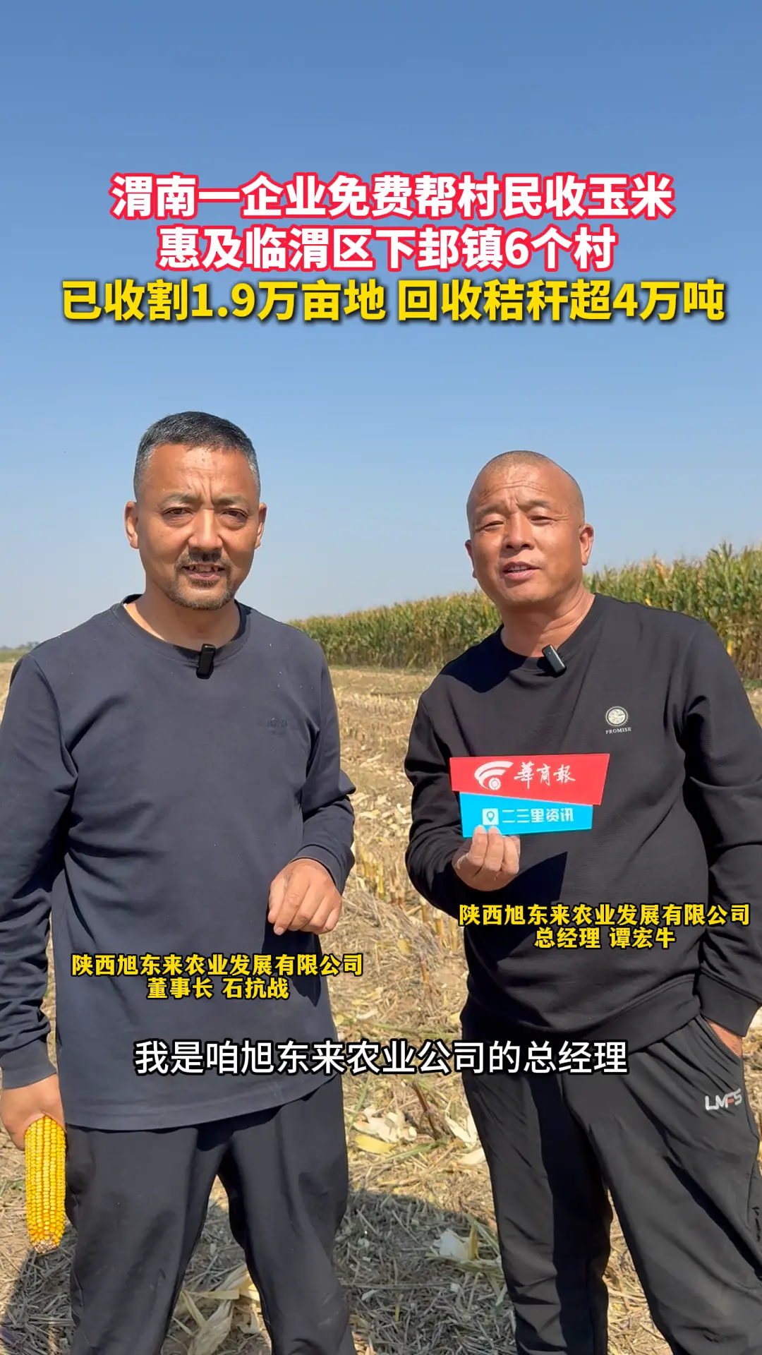 渭南一企业免费帮村民收玉米 已收割1.9万亩地 回收秸秆超4万吨