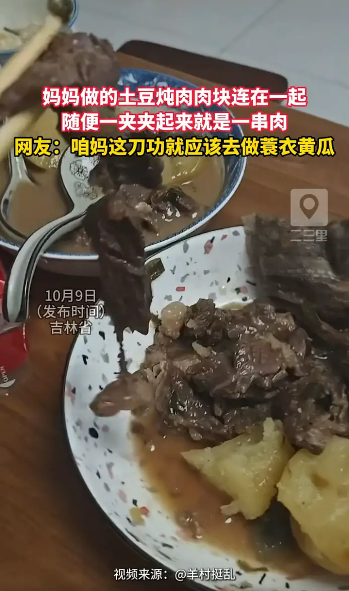 谁懂啊妈妈做的土豆炖肉肉块连成一片 ，一夹直接拎起一串肉