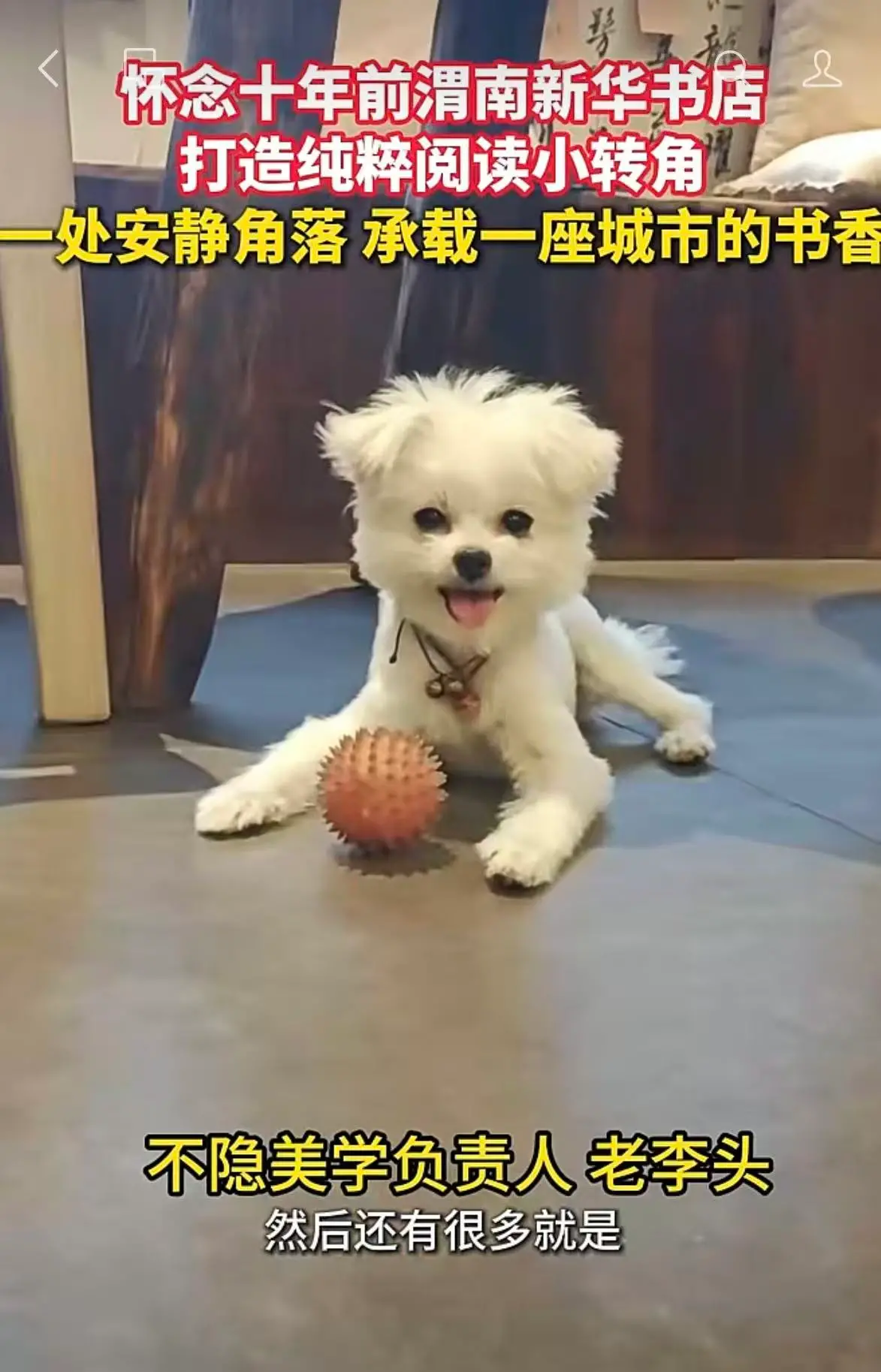 怀念十年前渭南新华书店 打造纯粹阅读小转角