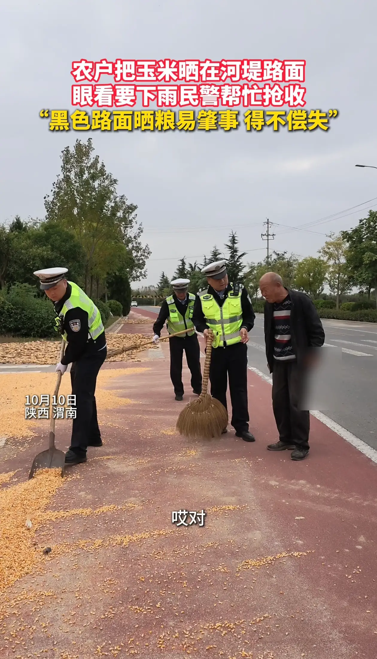 农户把玉米晒在河堤路面 眼看要下雨 民警帮忙抢收 “黑色路面晒粮易肇事 得不偿失”