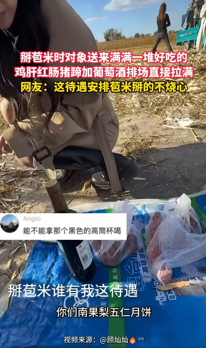 掰苞米的时候对象送来满满一桌美食，鸡肝红肠猪蹄配上葡萄酒田间氛围感直接拉满。