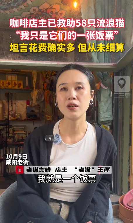 咖啡店主已救助58只流浪猫 “我只是他们的一张饭票”