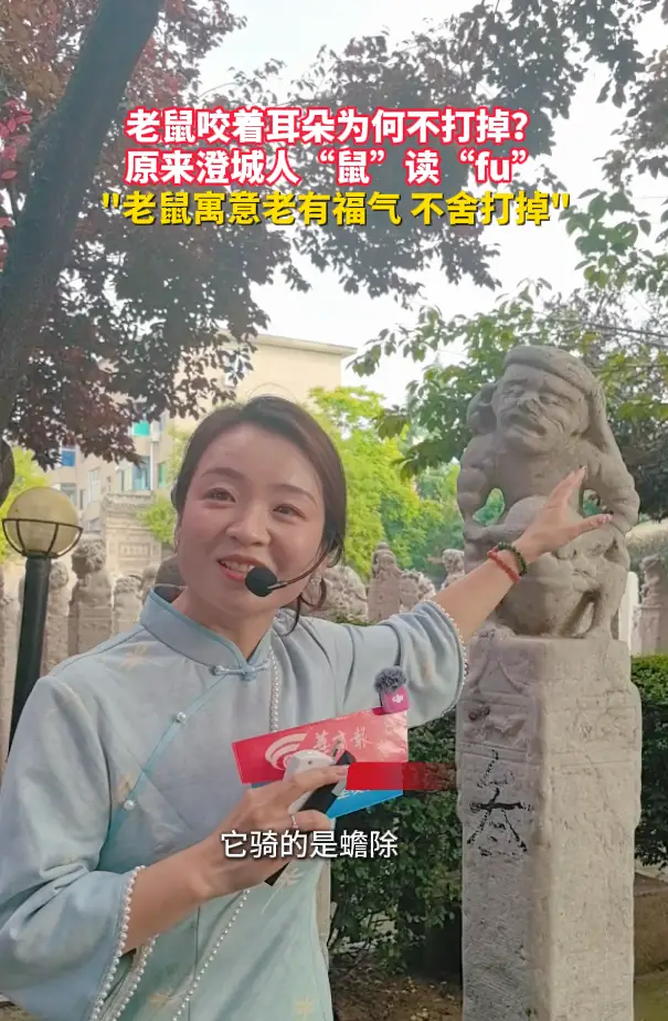 老鼠咬耳朵为何不打掉？快听澄城博物馆讲解员告诉你