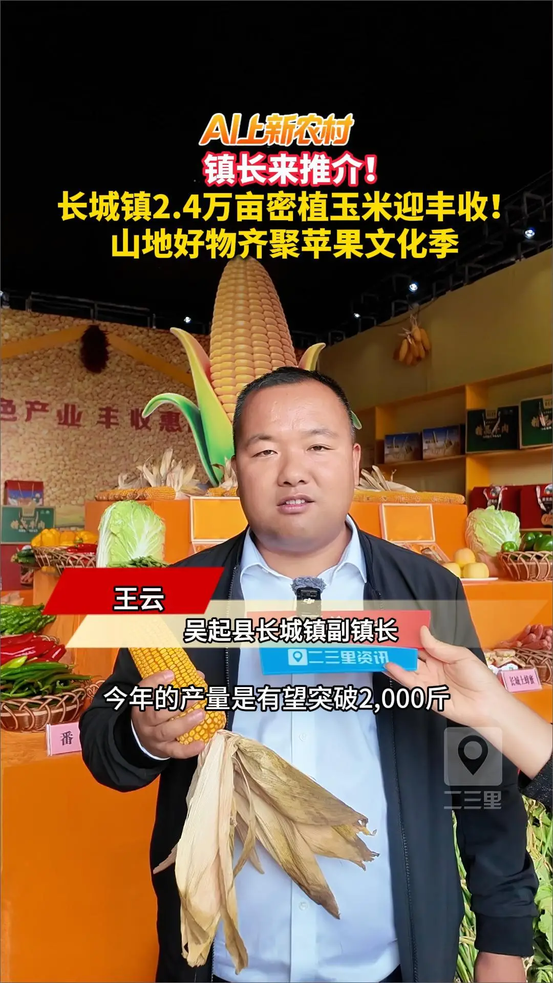 AI上新农村|镇长来推介!长城镇2.4万亩密植玉米迎丰收，山地好物齐聚苹果文化季