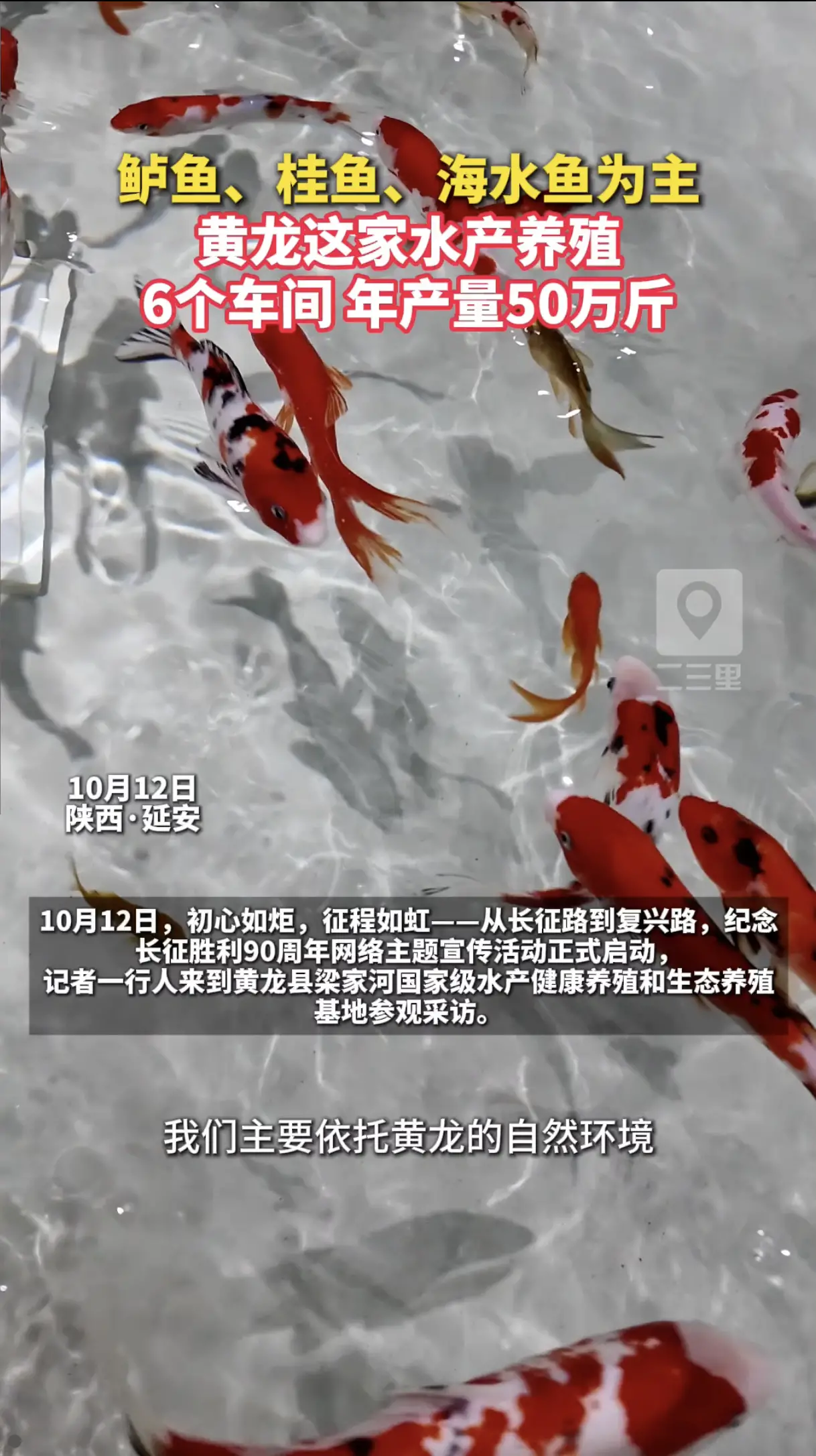 鲈鱼、桂鱼、海水鱼为主，黄龙这家水产养殖，6个车间年产量50万斤