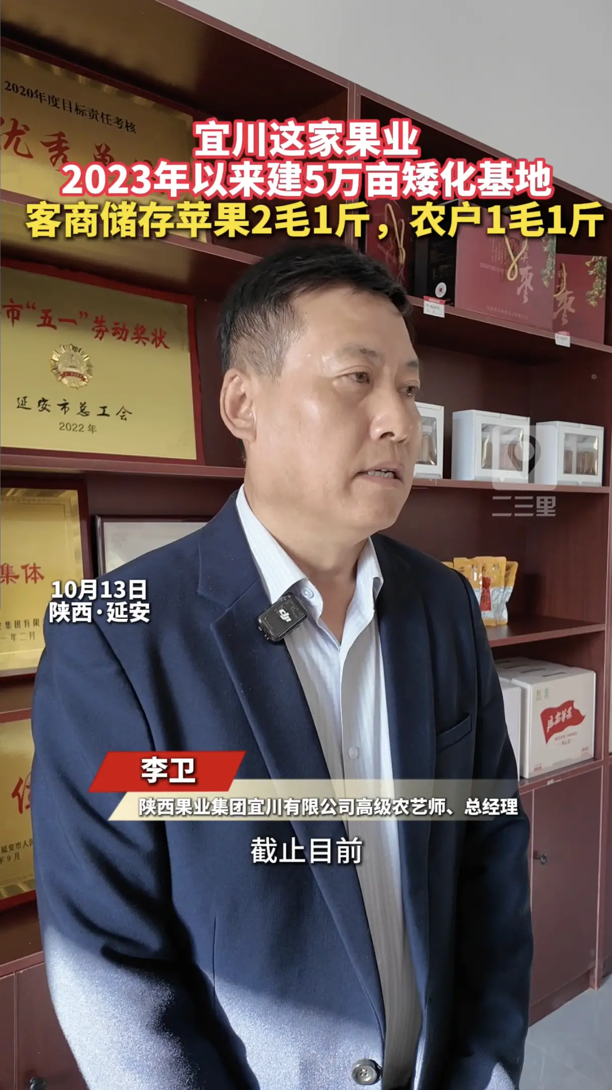 宜川这家果业2023以来建5万亩矮化基地 ，客商储存苹果2毛1斤，农户1毛1斤