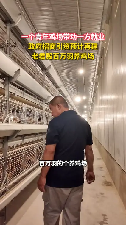 一个青年鸡场带动一方就业 政府招商引资预计再建 老君殿百万羽养鸡场