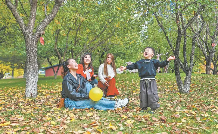 陕北的秋，不似江南温婉，而是从沟壑深处慢慢漾开