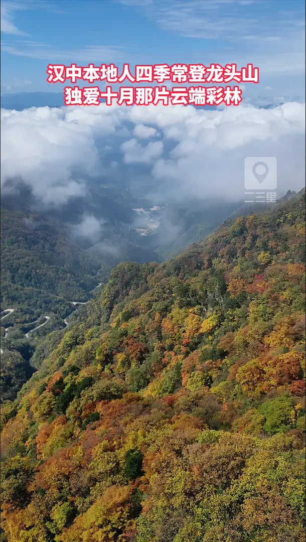 汉中本地人四季常登龙头山，独爱十月那片云端彩林