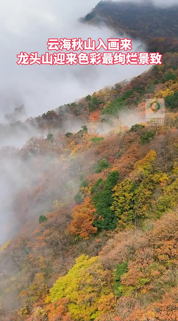 云海秋山入画来，汉中龙头山迎来色彩最绚烂景致
