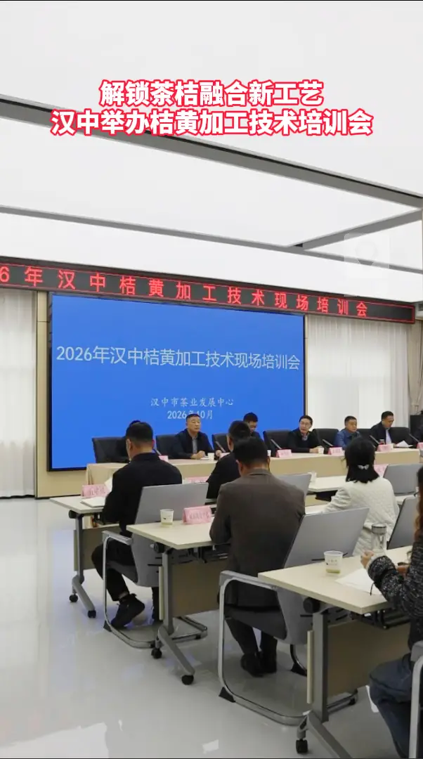 解锁茶桔融合新工艺 汉中举办桔黄加工技术培训会