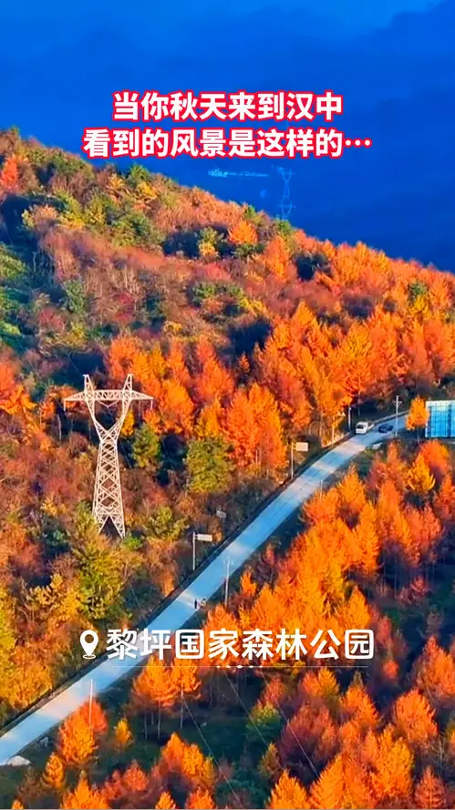 当你秋天来到汉中，看到的风景是这样的……