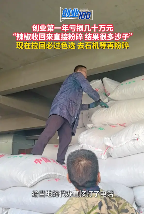 创业第一年就亏损几十万元 只因拉回的辣椒直接粉碎