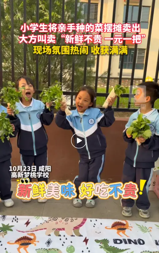 小学生将自己亲手种的菜摆摊卖出 大方叫卖“新鲜不贵 1元1袋”
