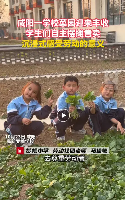 咸阳一学校菜园迎来丰收 学生们自主摆摊售卖 沉浸式体验劳动的意义